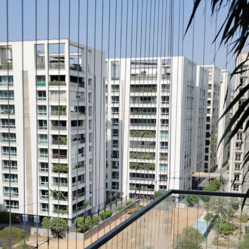 kabutarnetsurat.com